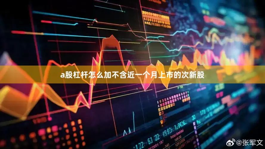 a股杠杆怎么加不含近一个月上市的次新股