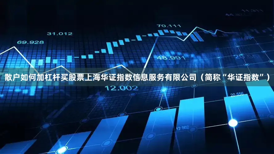 散户如何加杠杆买股票上海华证指数信息服务有限公司（简称“华证指数”）