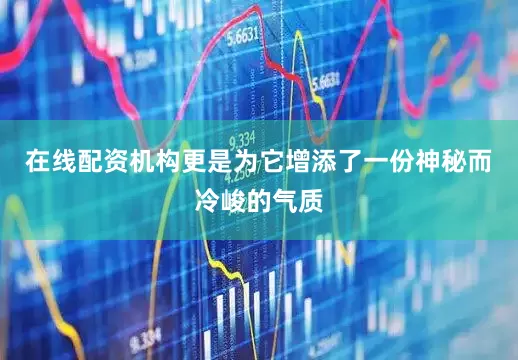 在线配资机构更是为它增添了一份神秘而冷峻的气质