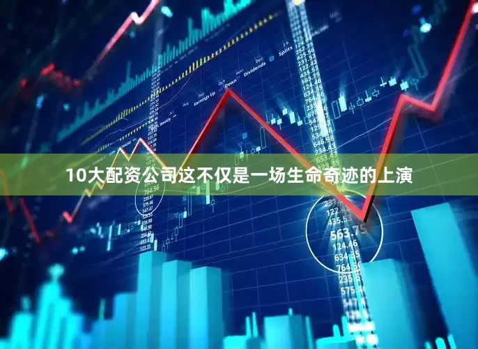 10大配资公司这不仅是一场生命奇迹的上演
