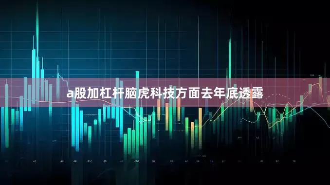 a股加杠杆脑虎科技方面去年底透露