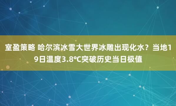 室盈策略 哈尔滨冰雪大世界冰雕出现化水？当地19日温度3.8℃突破历史当日极值